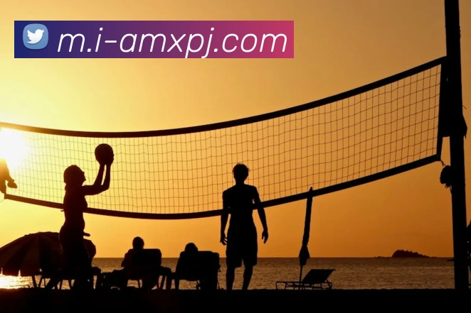 新葡京娱乐服务体系